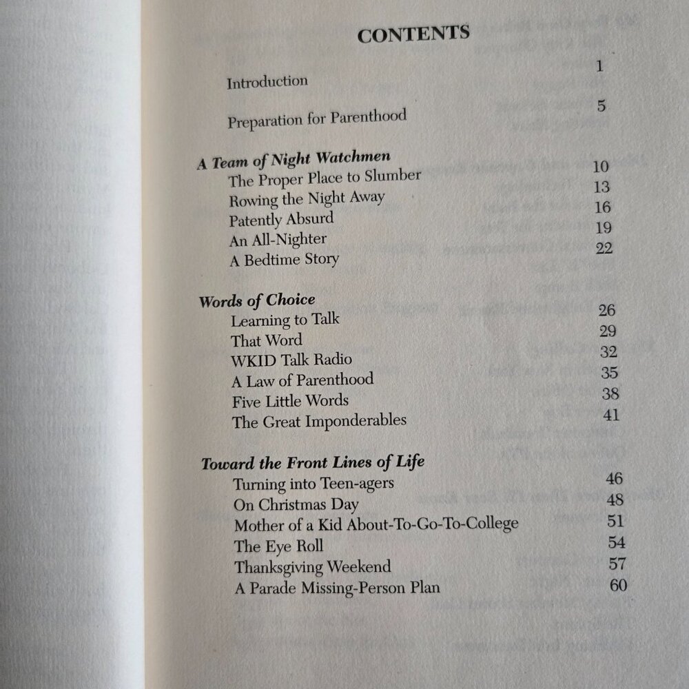 You Might As Well Laugh: Surviving the Joys of Parenthood by Sandi Kahn Shelton - Picture 5 of 10